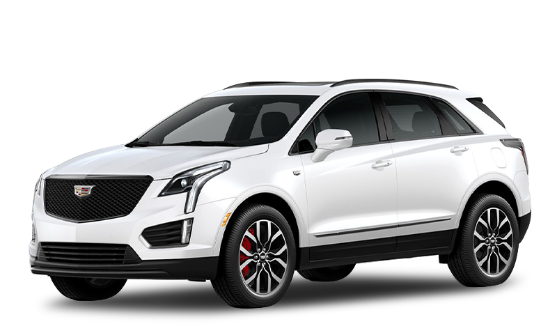 크리스탈 화이트 트리코트 익스테리어